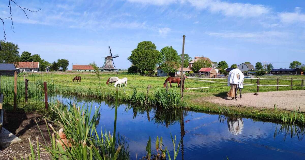 Buitenruimte op de boerderij